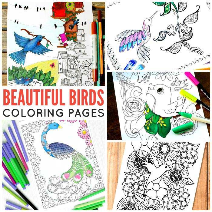 Hattifant's Coloring Tribe Bird Coloring Pages FREE download