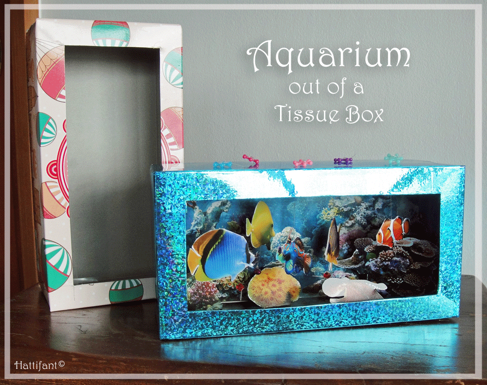 Tissue Box Aquarium