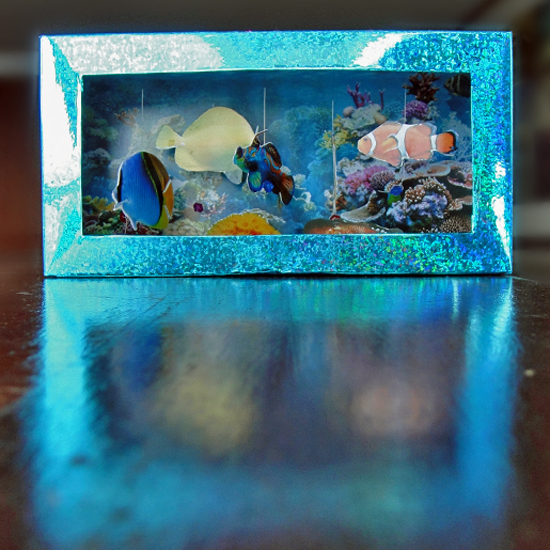Re-Cycle Project: Tissue Box Aquarium