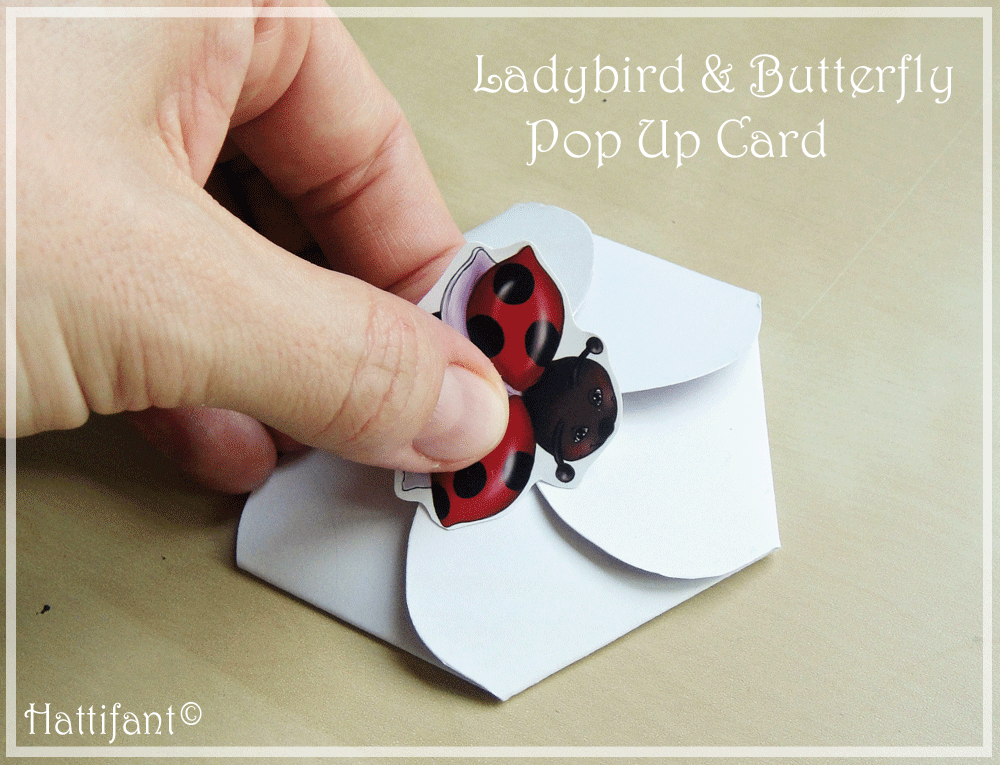 Hattifant Ladybird & Butterfly Pop Up Card Opening