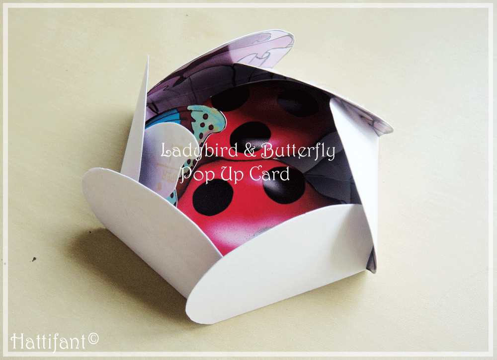 Hattifant Ladybird & Butterfly Pop Up Card Unfolding