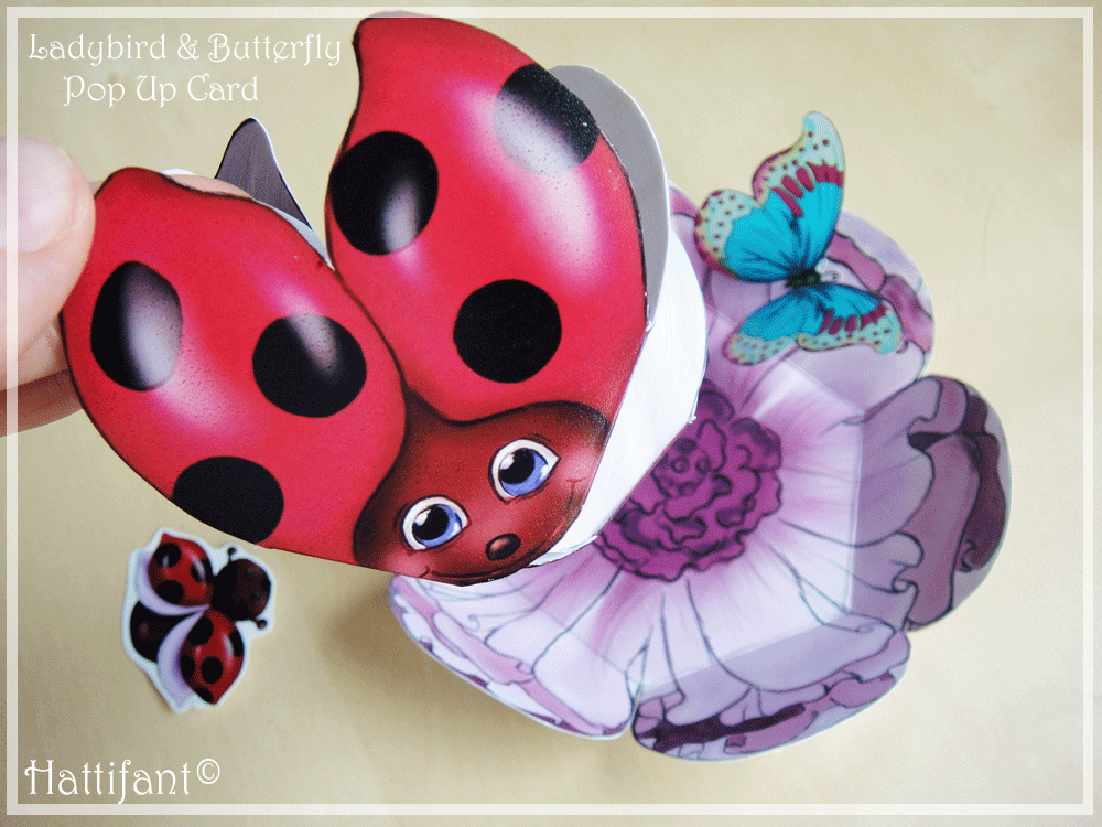 Hattifant Ladybird & Butterfly Pop Up Card Flying
