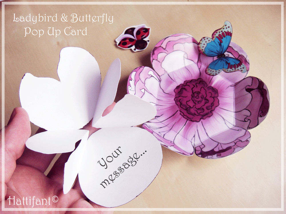 Hattifant Ladybird & Butterfly Pop Up Card Your Message