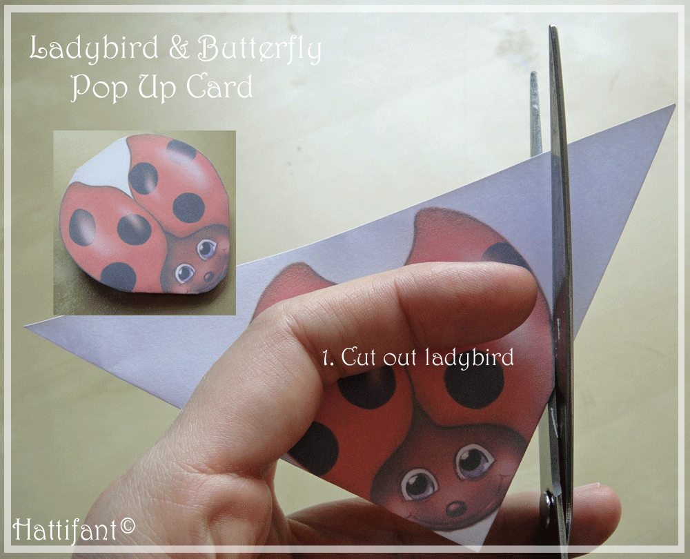Ladybird_Cutting