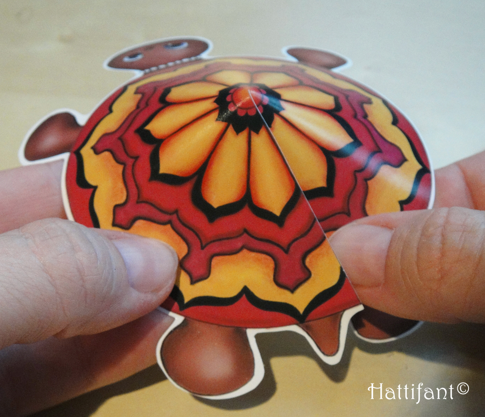 How to tape the turtle