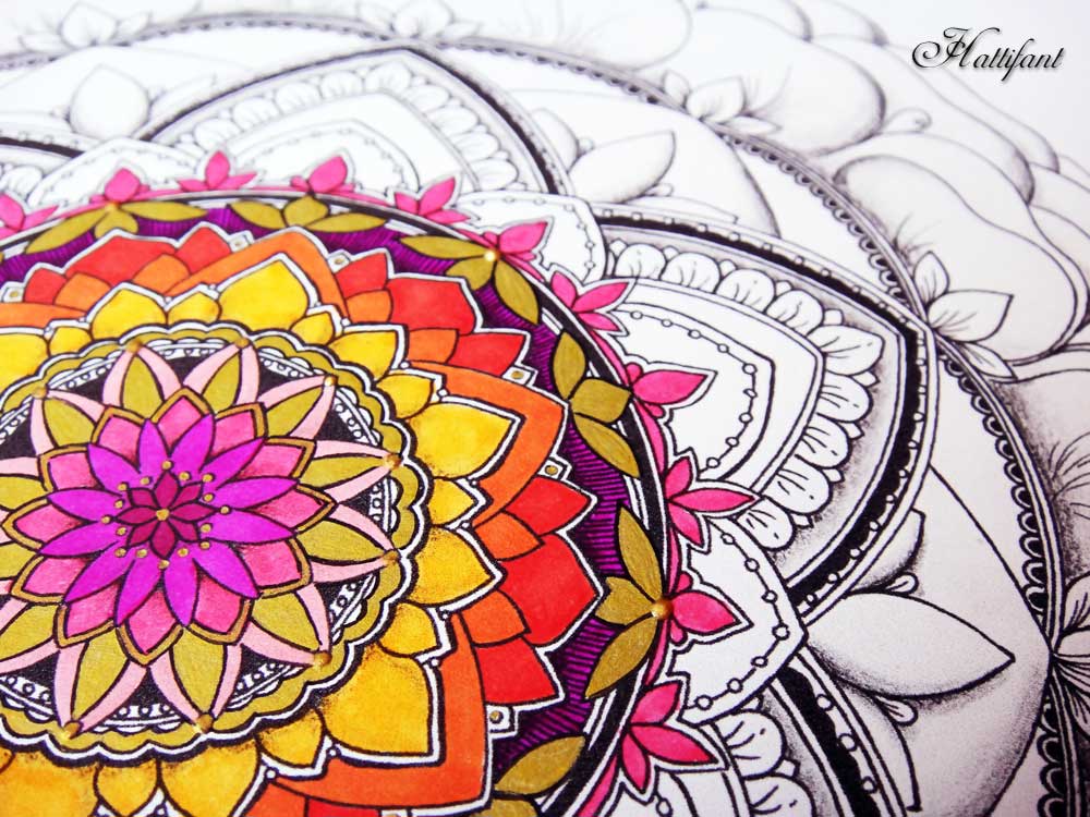 Download Mandala Coloring Page Spring Bundle - Hattifant