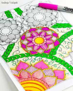 Adult Coloring Book Treasruy Andreja Vu?ajnk Artist