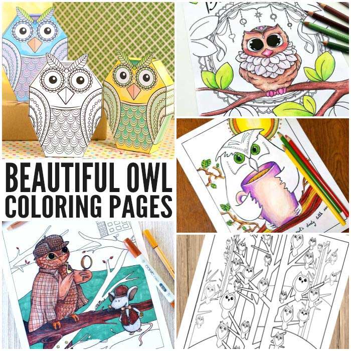 Hattifant Owlsome Owl Coloring Page for adults and kids