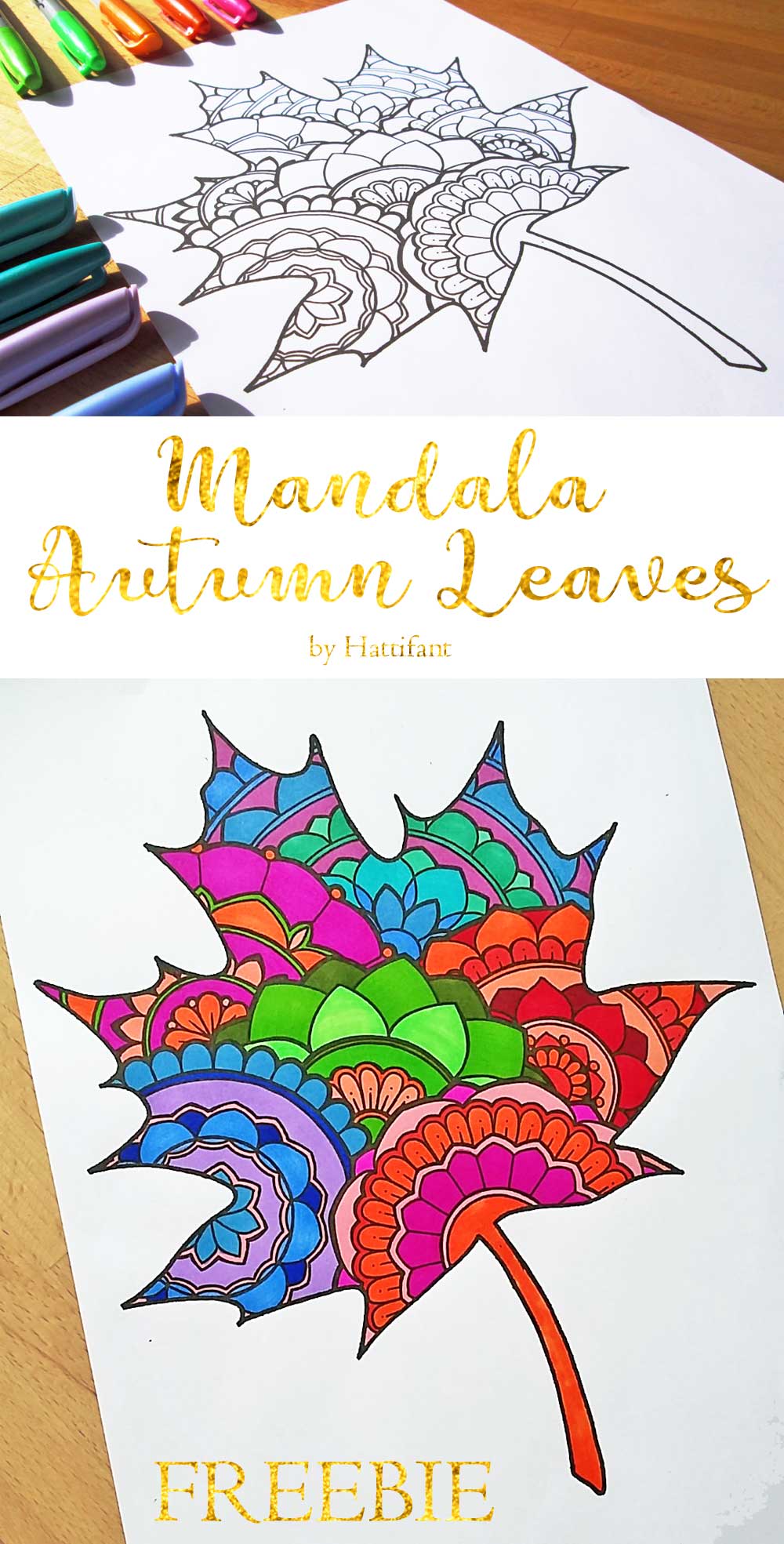 Download Sun Catcher: Mandala Autumn Leaves - Hattifant