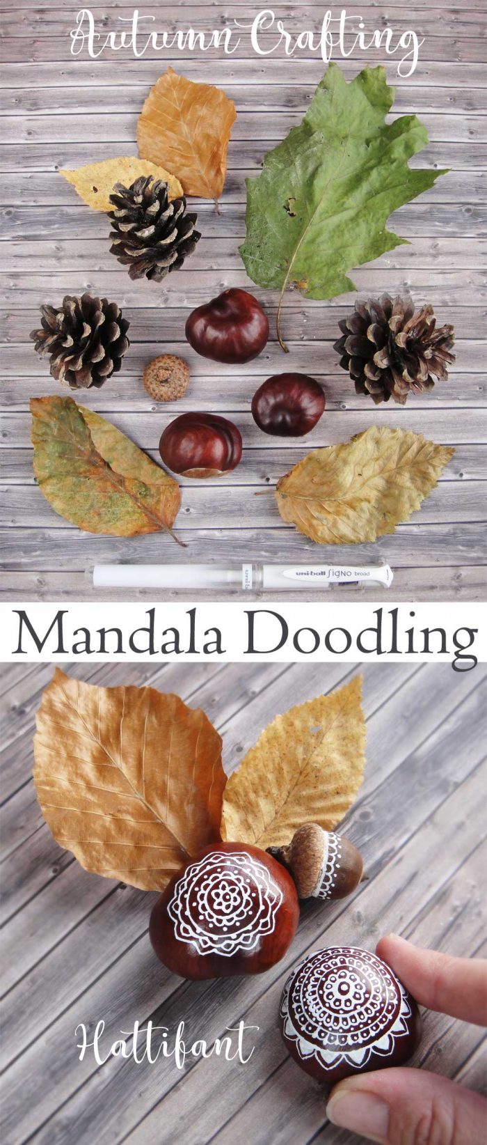 Hattifant's Autumn Crafts Mandala Chestnuts Doodling with Printable