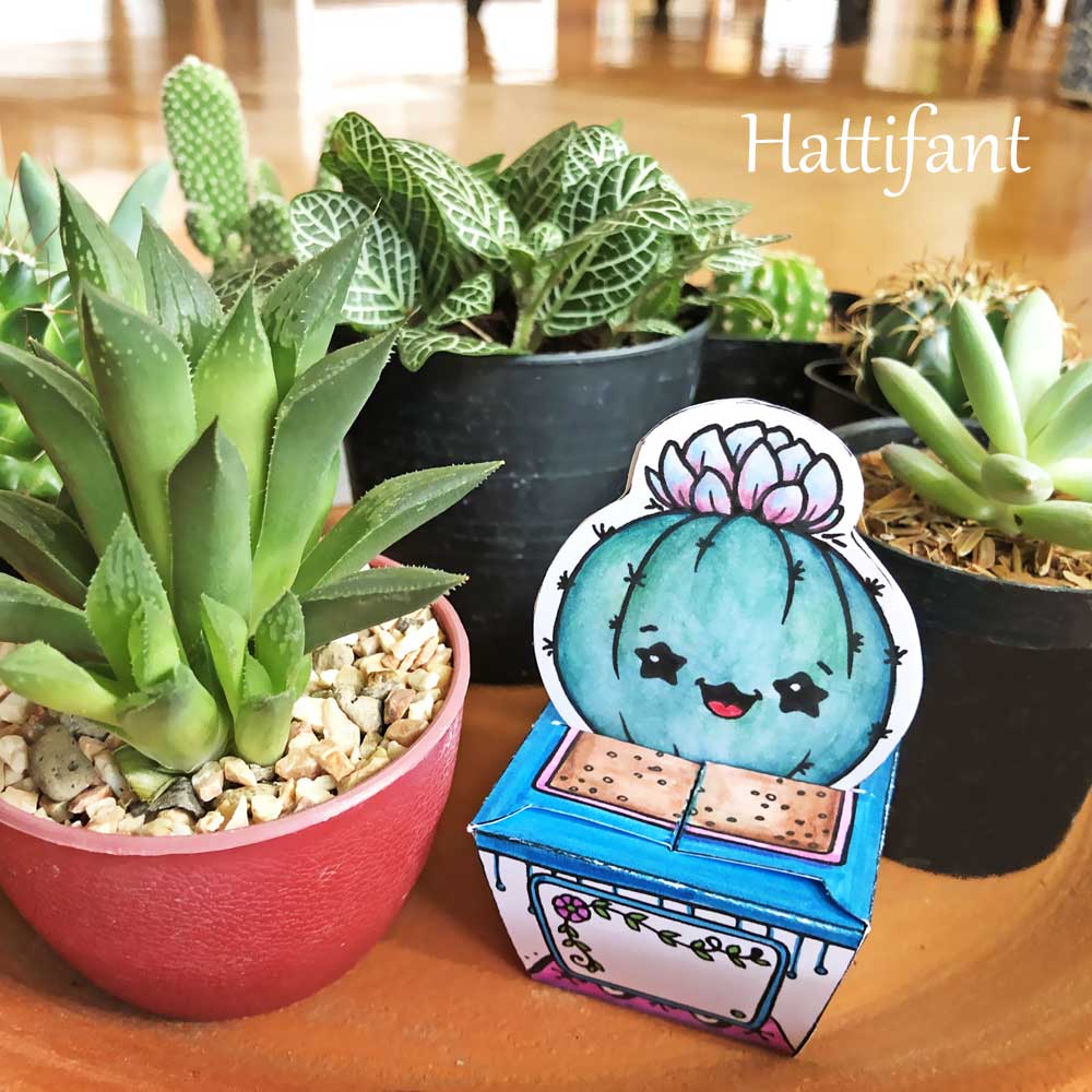 Hattifant's Paper Craft Succulents Cactus Cuties little gift boxes to color, craft and gift Sample